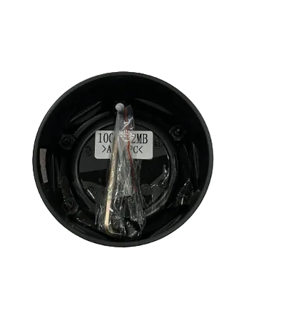 Back mounting structure of Fuel 1003-42MB wheel center cap