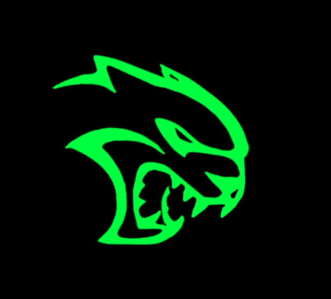 Dodge Magnum Dynamic Dual Lens Premium Door Puddle Lights Multiple Designs 2005-2008