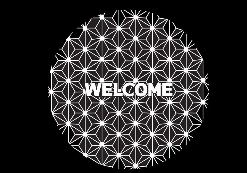 Lexus NX 2nd Gen AZ20 Dynamic Dual Lens Premium Door Puddle Lights Multiple Designs 2022-2026