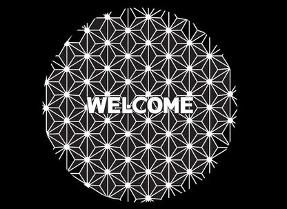 Lexus ES 5th/6th/7th Gen Premium Door Puddle Lights Multiple Designs 2007-2026