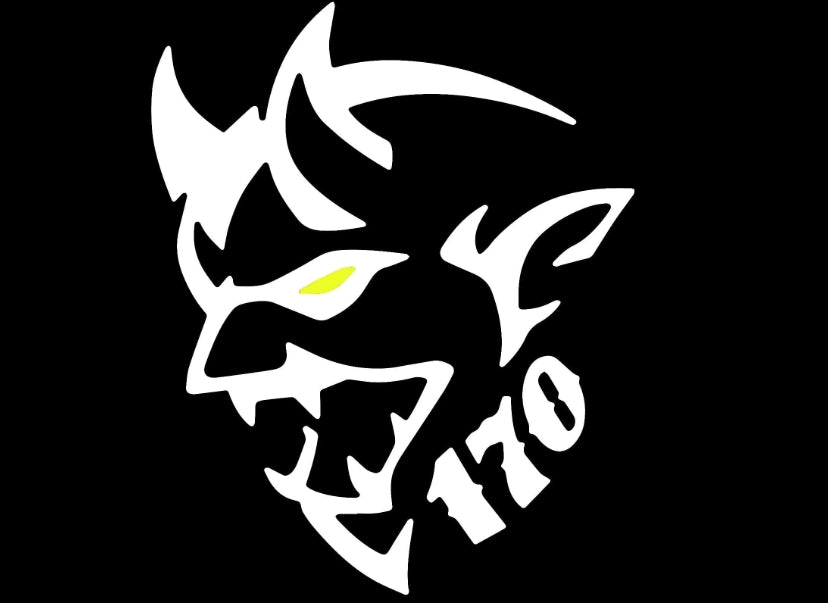 Dodge Magnum Dynamic Dual Lens Premium Door Puddle Lights Multiple Designs 2005-2008