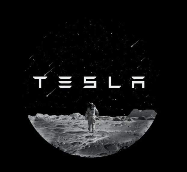 Tesla Model 3 Dynamic Dual Lens Premium Door Puddle Lights Multiple Designs 2017-2023
