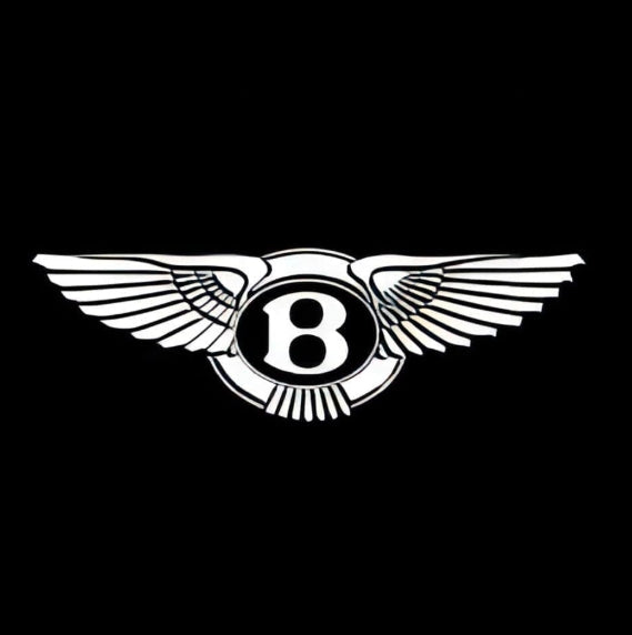 Bentley Continental GT Dynamic Dual Lens Premium Door Puddle Lights Multiple Designs 2003-2026