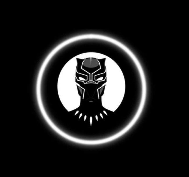 Custom LED Courtesy Door Projector Puddle Lights for Acura