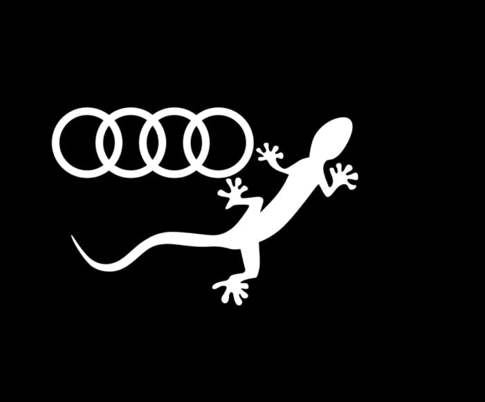 Audi A2 Premium Door Puddle Lights Multiple Designs 2000–2005