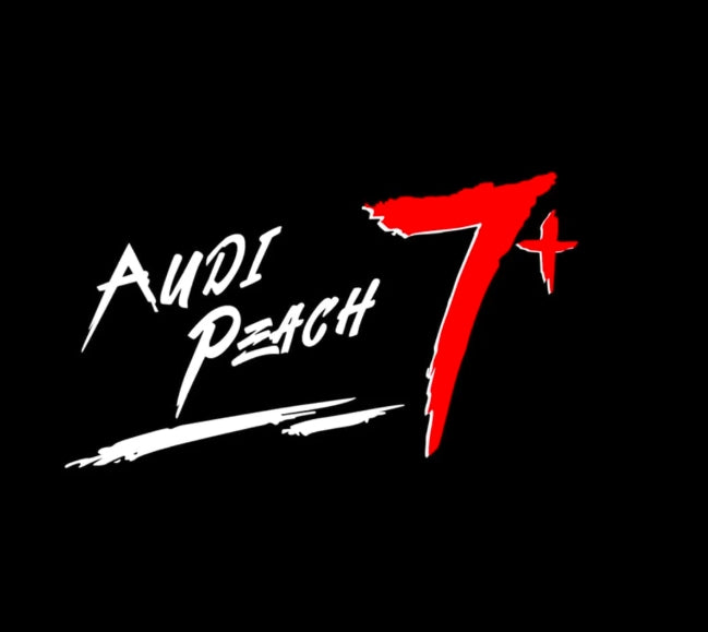 Audi A3 Premium Door Puddle Lights Multiple Designs 2003 - 2026