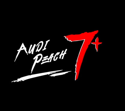 Audi A3 Premium Door Puddle Lights Multiple Designs 2003 - 2026