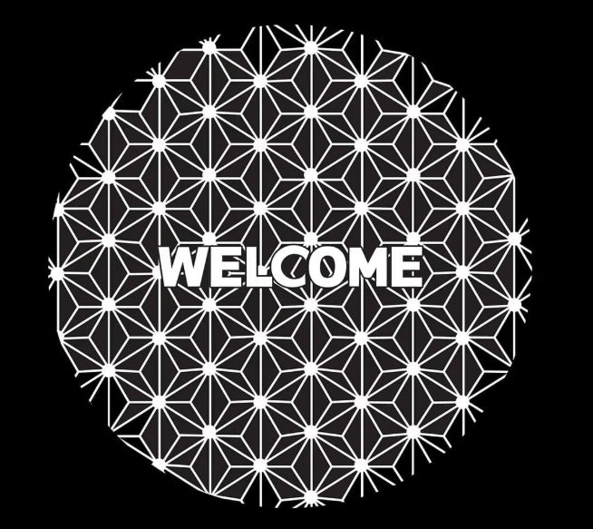 Audi A4 Dynamic Dual Lens Premium Door Puddle Lights Multiple Designs 2001-2026