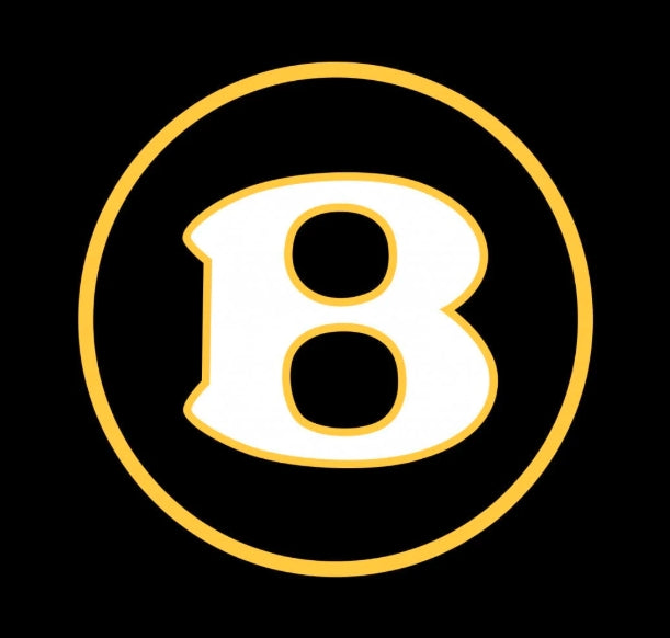 Bentley Continental GT Dynamic Dual Lens Premium Door Puddle Lights Multiple Designs 2003-2026