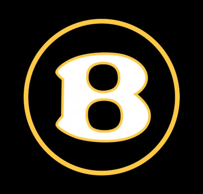 Bentley Continental GT Dynamic Dual Lens Premium Door Puddle Lights Multiple Designs 2003-2026