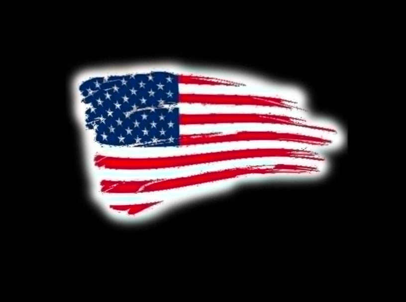 Custom LED Courtesy Door Projector Puddle Lights for Acura