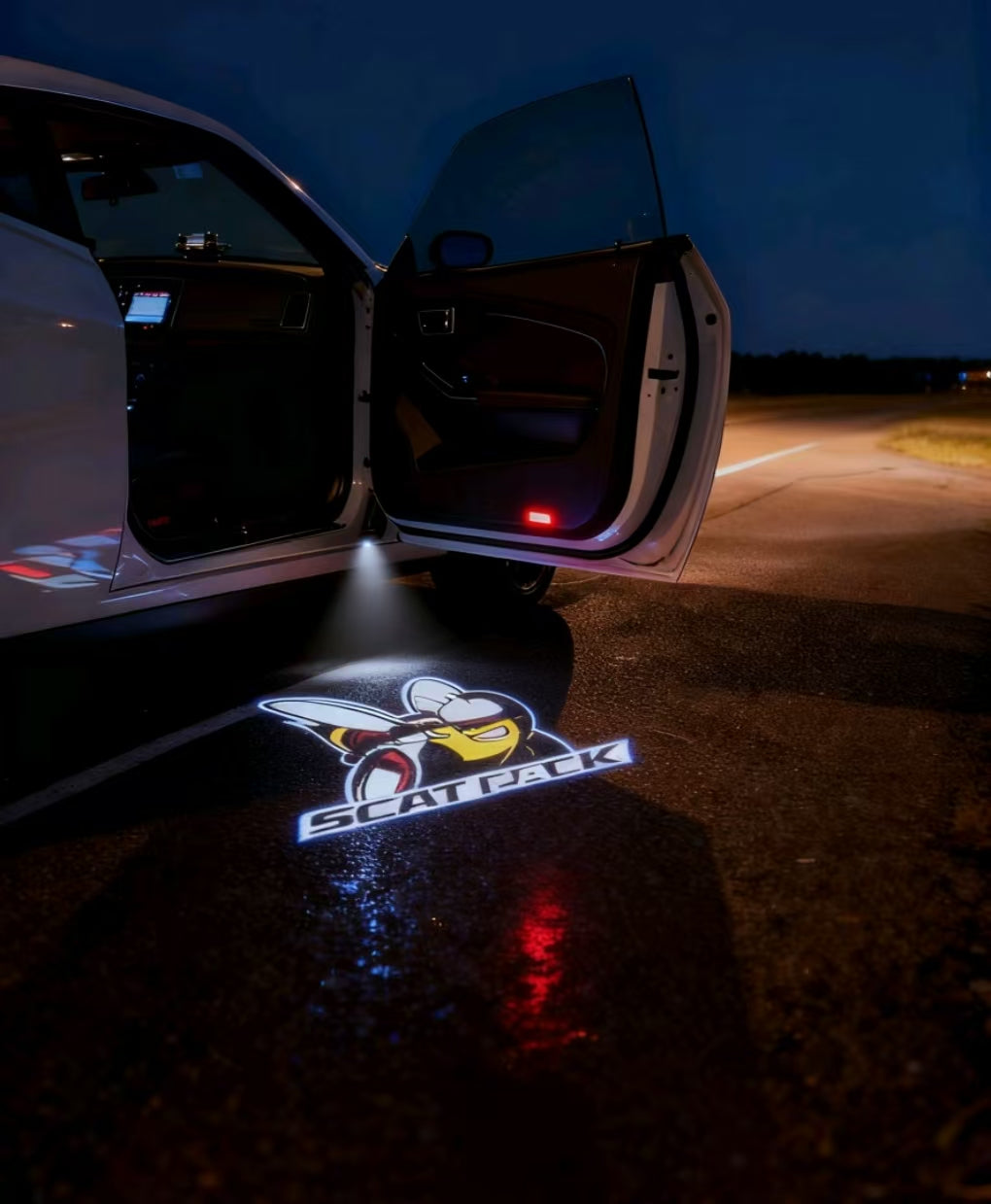 2PCS Puddle Light For Dodge Challenger/Charger