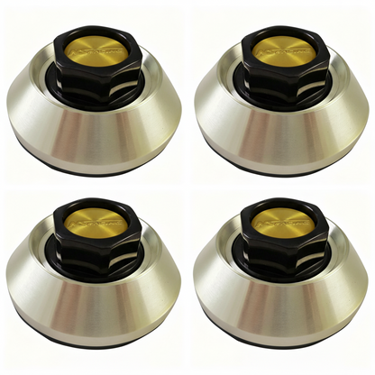 Four NS Racing S1050-2600 gold center caps